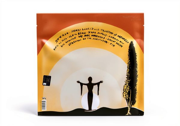 Matador OLER197 Lo Fi CD Album 2010 Release 12.3 x 12.4 in 8.3 oz-1